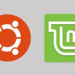 Ubuntu vs Linux Mint