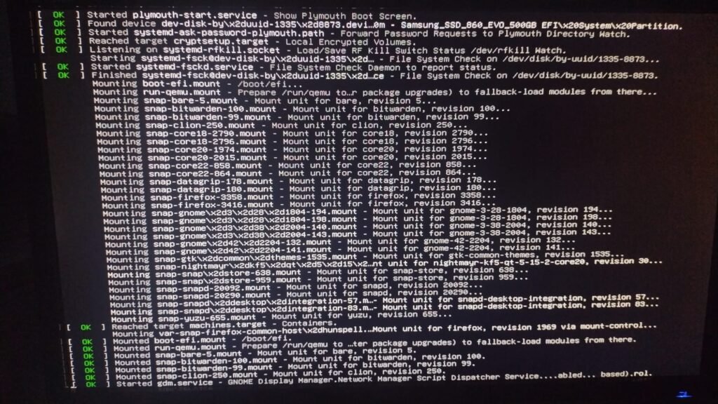 Ubuntu does not boot properly